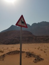 Tag 4 - Wadi Rum